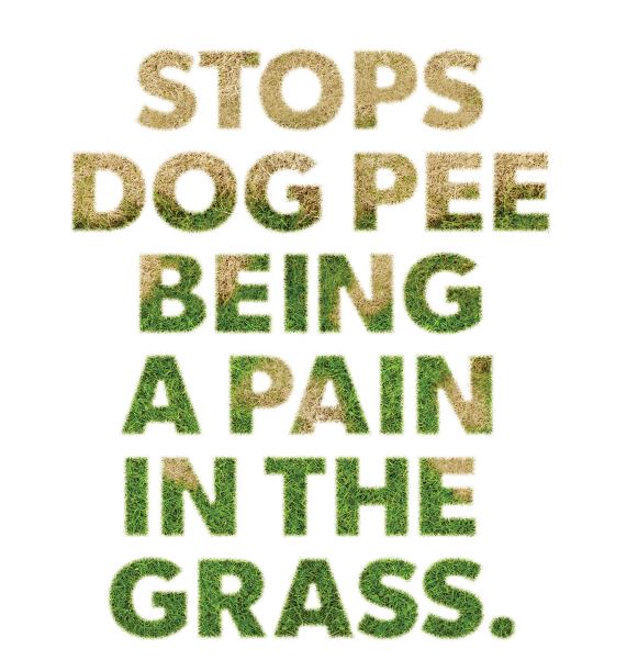 200g Grass Seed & 200g Pack Of Dog Rocks - Prevent & Cure Pet Pee Yellow Burn Spots On Grass!