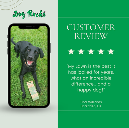 Dog Rocks - 2 Month Supply - 200g (0.4lb) + BeLoved Shampoo Bar.