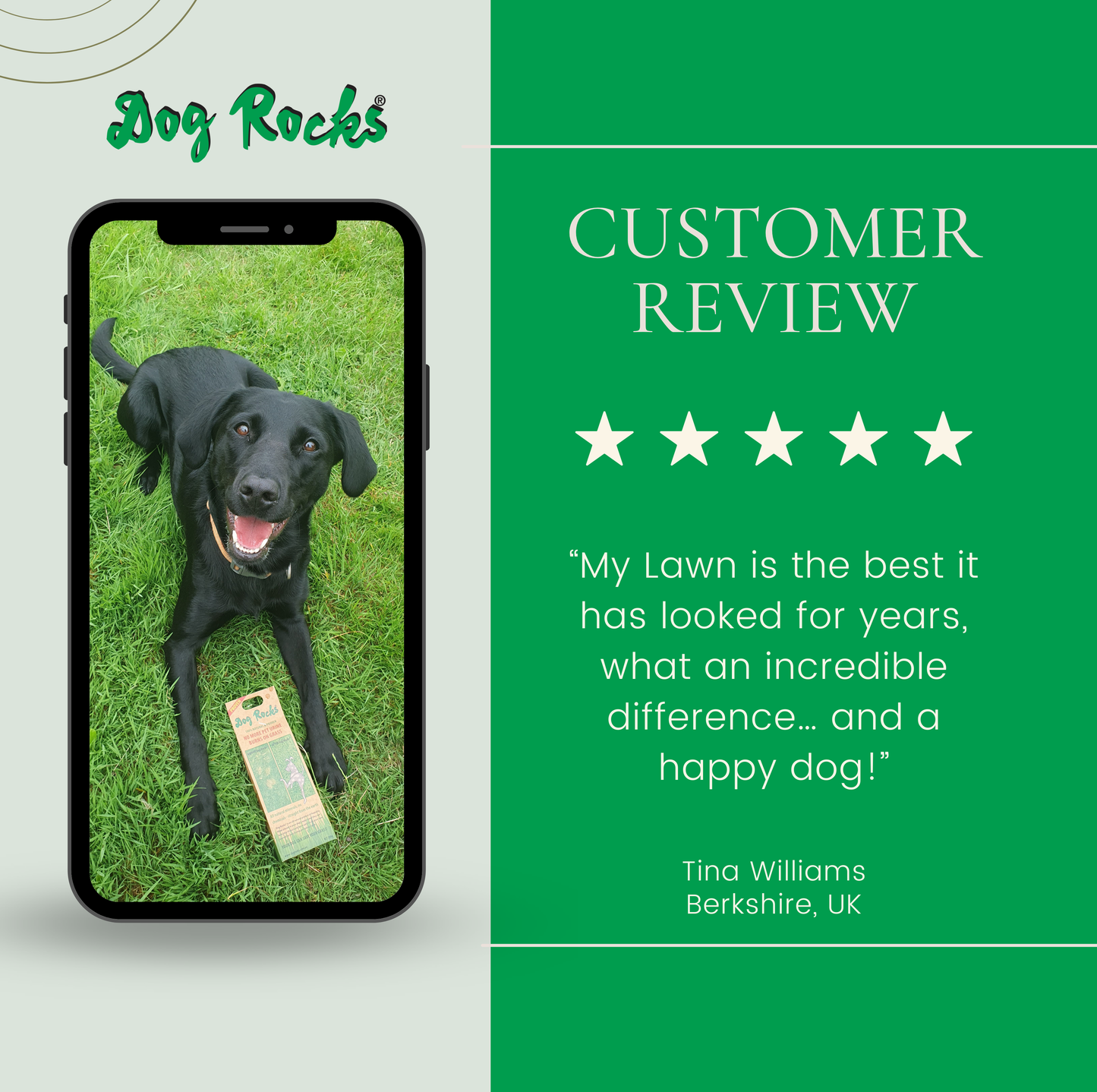 Dog Rocks - 8 Month Supply - 800g (1.6lb) - 4 x 200g Packs.