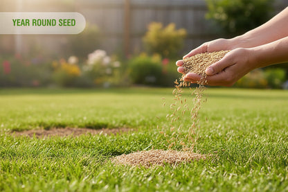 200g Grass Seed & 200g Pack Of Dog Rocks - Prevent & Cure Pet Pee Yellow Burn Spots On Grass!