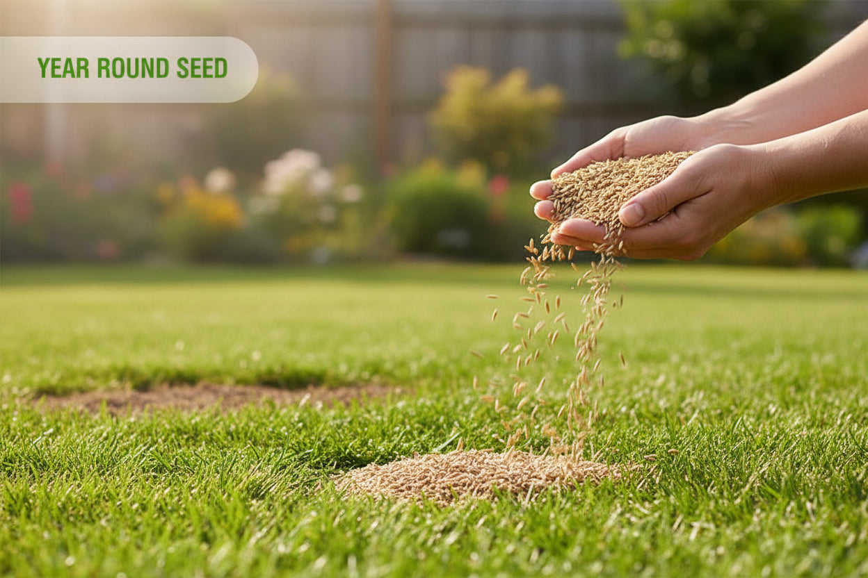 Dog Friendly Grass Seed, Fast‑Growing, Hard‑Wearing & Pee‑Patch Resistant (200g)