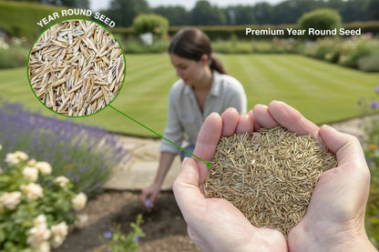 200g Grass Seed & 200g Pack Of Dog Rocks - Prevent & Cure Pet Pee Yellow Burn Spots On Grass!