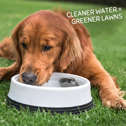 200g Grass Seed & 200g Pack Of Dog Rocks - Prevent & Cure Pet Pee Yellow Burn Spots On Grass!